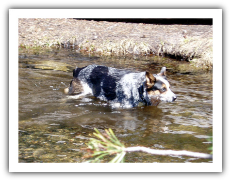 Sundae in the creek